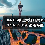 A4 B6手动大灯开关 8E0 941 531A 适用车型（图2）