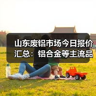 山东废铝市场今日报价汇总：铝合金等主流品类价格动态（图4）