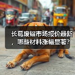 长葛废铝市场报价最新,哪些材料涨幅显著?(图4) 长葛废铝市场报价最新,哪些材料涨幅显著?(图4)