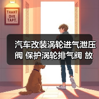 汽车改装涡轮进气泄压阀 保护涡轮排气阀 放气阀（图3）