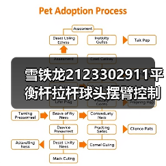 雪铁龙2123302911平衡杆拉杆球头摆臂控制臂厂家直销（图2）
