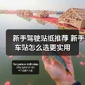 新手驾驶贴纸推荐 新手车贴怎么选更实用（图4）