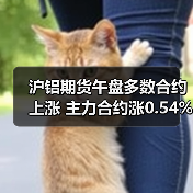 沪铝期货午盘多数合约上涨 主力合约涨0.54%（图3）