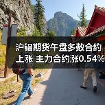 沪铝期货午盘多数合约上涨 主力合约涨0.54%（图1）