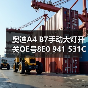 奥迪A4 B7手动大灯开关OE号8E0 941 531C（图2）