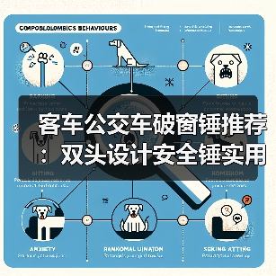 客车公交车破窗锤推荐：双头设计安全锤实用指南（图4）