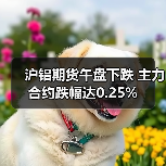 沪铝期货午盘下跌 主力合约跌幅达0.25%（图2）