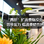 “两新”扩消费稳投资同步发力 铝消费韧性持续显效（图1）