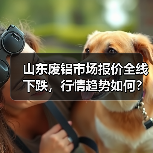 山东废铝市场报价全线下跌，行情趋势如何？（图4）