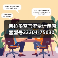 普拉多空气流量计传感器型号22204-75030选购指南（图4）