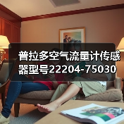 普拉多空气流量计传感器型号22204-75030选购指南（图1）