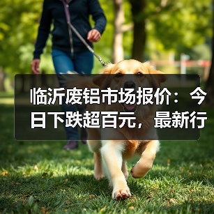 临沂废铝市场报价：今日下跌超百元，最新行情一览（图2）