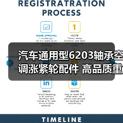 汽车通用型6203轴承空调涨紧轮配件 高品质重卡皮带轮精选指南(图4) 汽车通用型6203轴承空调涨紧轮配件 高品质重卡皮带轮精选指南(图4)