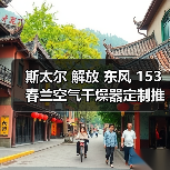 斯太尔 解放 东风 153 春兰空气干燥器定制推荐（图1）