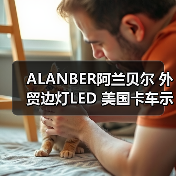 ALANBER阿兰贝尔 外贸边灯LED 美国卡车示宽灯 示廓灯 装饰灯侧灯（图2）