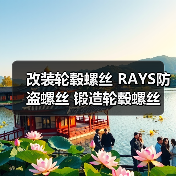 改装轮毂螺丝 RAYS防盗螺丝 锻造轮毂螺丝 汽车轮毂螺母/帽铁材质（图3）