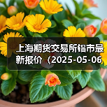 上海期货交易所铝市最新报价(2025-05-06 14:00)(图3) 上海期货交易所铝市最新报价(2025-05-06 14:00)(图3)
