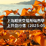 上海期货交易所铝市早上开盘行情(2025-05-06 09:03)(图4) 上海期货交易所铝市早上开盘行情(2025-05-06 09:03)(图4)