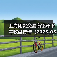 上海期货交易所铝市下午收盘行情（2025-05-02 15:03）（图4）