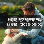 上海期货交易所铝市最新报价（2025-05-02 10:15