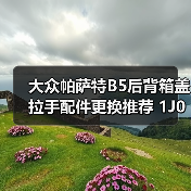 大众帕萨特B5后背箱盖拉手配件更换推荐 1J0 827 566 D适配详解（图3）