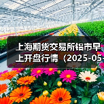 上海期货交易所铝市早上开盘行情(2025-05-01 09:03)(图4) 上海期货交易所铝市早上开盘行情(2025-05-01 09:03)(图4)