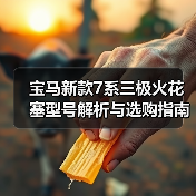 宝马新款7系三极火花塞型号解析与选购指南（图3）