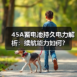 45A蓄电池持久电力解析：续航能力如何？（图3）
