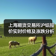 上海期货交易所沪铝报价实时价格及涨跌分析（图3）