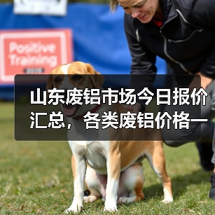山东废铝市场今日报价汇总，各类废铝价格一览（图4）