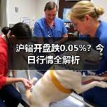沪铝开盘跌0.05%？今日行情全解析（图3）