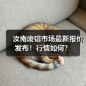 汝南废铝市场最新报价发布！行情如何？（图4）