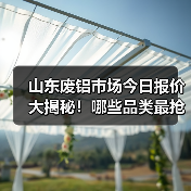 山东废铝市场今日报价大揭秘!哪些品类最抢手?(图2) 山东废铝市场今日报价大揭秘!哪些品类最抢手?(图2)