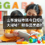 山东废铝市场今日报价大揭秘!哪些品类最抢手?(图3) 山东废铝市场今日报价大揭秘!哪些品类最抢手?(图3)