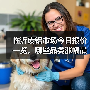 临沂废铝市场今日报价一览,哪些品类涨幅最明显?(图4) 临沂废铝市场今日报价一览,哪些品类涨幅最明显?(图4)