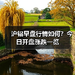 沪铝早盘行情如何？今日开盘涨跌一览（图4）