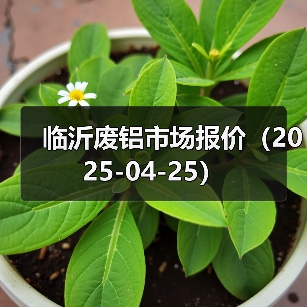 临沂废铝市场报价(2025-04-25)(图4) 临沂废铝市场报价(2025-04-25)(图4)