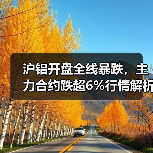 沪铝开盘全线暴跌,主力合约跌超6%行情解析(图4) 沪铝开盘全线暴跌,主力合约跌超6%行情解析(图4)