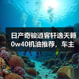 日产奇骏逍客轩逸天籁0w40机油推荐，车主怎么选？（图4）
