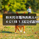 铃木羚羊雨燕奔奔JL474 G13B 1.3发动机配件供应哪里买?(图3) 铃木羚羊雨燕奔奔JL474 G13B 1.3发动机配件供应哪里买?(图3)