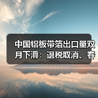 中国铝板带箔出口量双月下滑：退税取消、春节与关税多因素解析（图4）