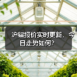 沪铝报价实时更新，今日走势如何？（图2）