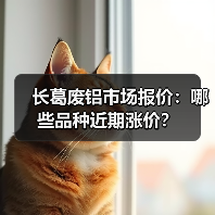 长葛废铝市场报价:哪些品种近期涨价?(图2) 长葛废铝市场报价:哪些品种近期涨价?(图2)