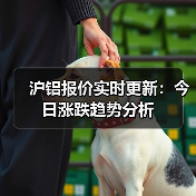 沪铝报价实时更新：今日涨跌趋势分析（图3）