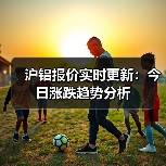 沪铝报价实时更新：今日涨跌趋势分析（图2）