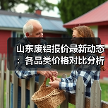 山东废铝报价最新动态：各品类价格对比分析