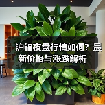 沪铝夜盘行情如何？最新价格与涨跌解析