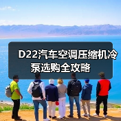 D22汽车空调压缩机冷泵选购全攻略（图3）