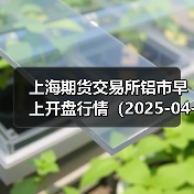 上海期货交易所铝市早上开盘行情(2025-04-22 09:03)(图2) 上海期货交易所铝市早上开盘行情(2025-04-22 09:03)(图2)