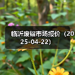 临沂废铝市场报价(2025-04-22)(图4) 临沂废铝市场报价(2025-04-22)(图4)